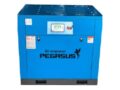 Máy nén khí trục vít biến tần 10HP Pegasus